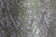 Adforton fibreglass roof work